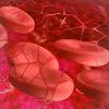 гемоглобин крови